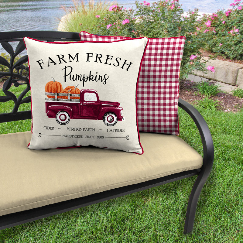 Lark Manor 4 Piece Autumn Outdoor Throw Pillow Set for Thanksgiving and Halloween Wayfair